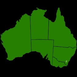 small pcityre of truck